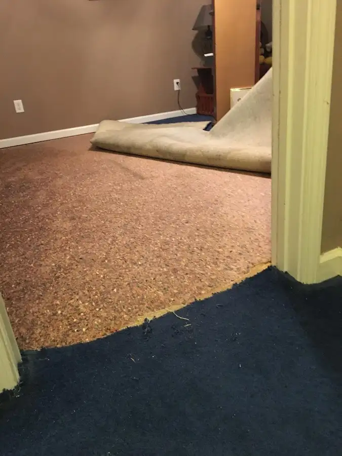 Carpet pad removal revealing water damage during Drying & Dehumidification in Chantilly